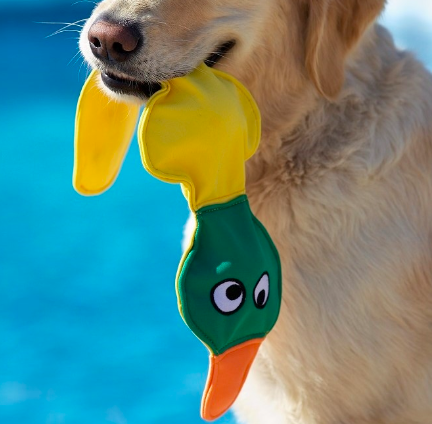 Doggles Get Wet