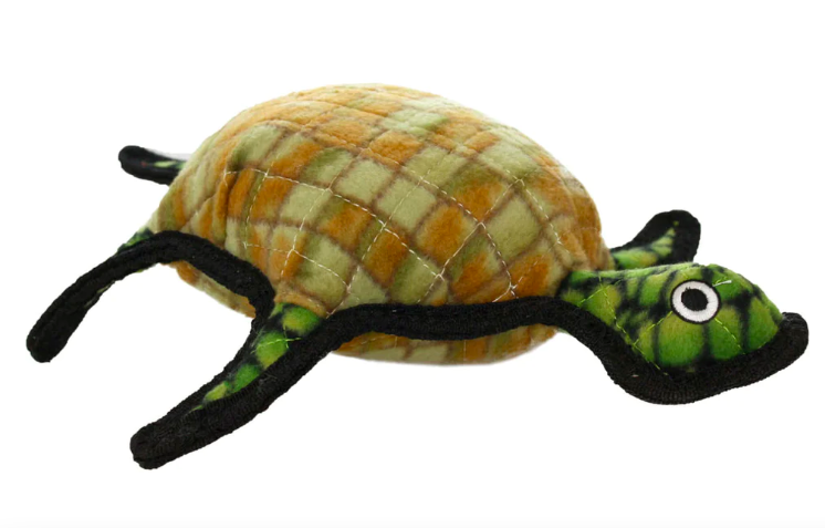 Tuffy Burtle the Turtle