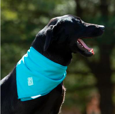 Terrain D.O.G. Cooling Bandana - Teal