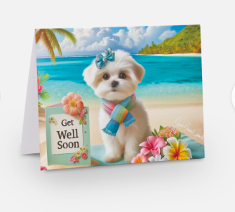 Nevis Animal Speak &quot;Get Well&quot; Greeting Cards