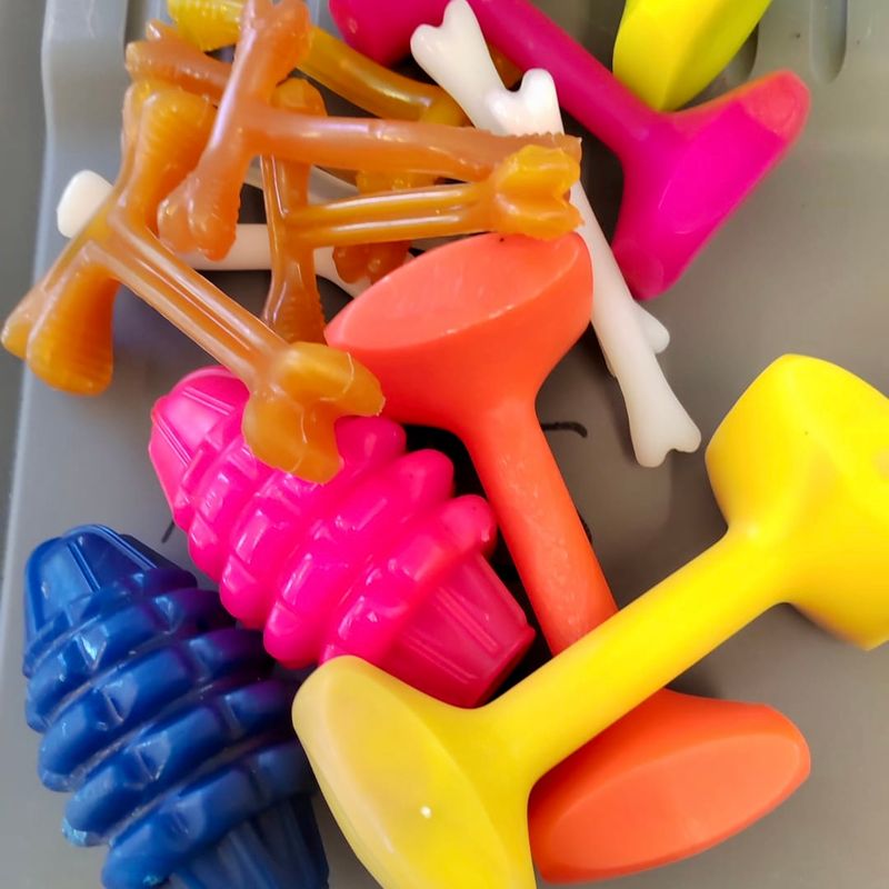 Assorted Chew and Fetch Toys from Fido