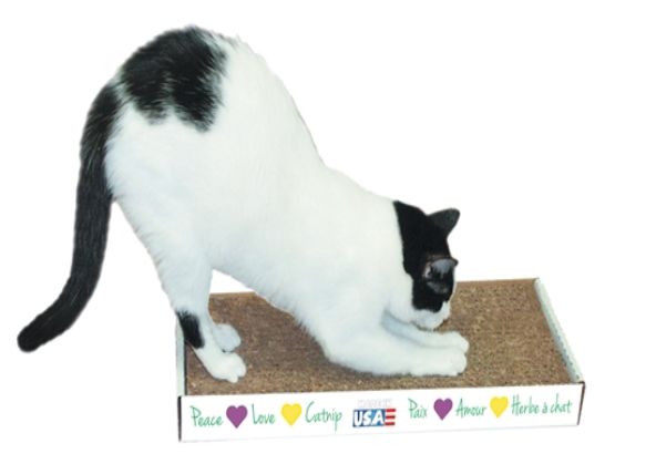 Yippee! Cat Scratch Pad