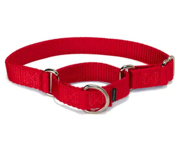PetSafe Martingale Collars