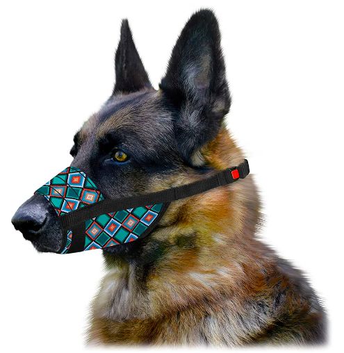 CollarDirect Tribal Nylon Dog Muzzle
