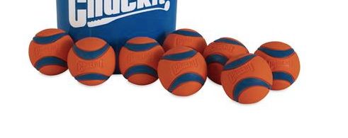 ChuckIt! Balls - Set of Two