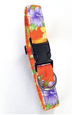 Beach Dog Company Collars