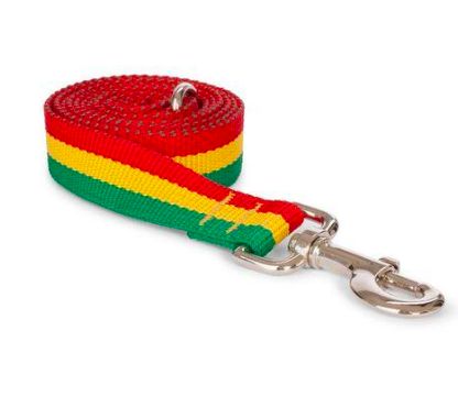 Fab Dog Rasta Leash