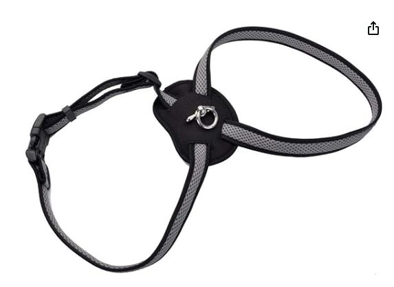 Coastal - Size Right - Mesh Harness