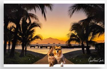 Nevis Animal Speak Postcard Nevis Animal Speak Postcard