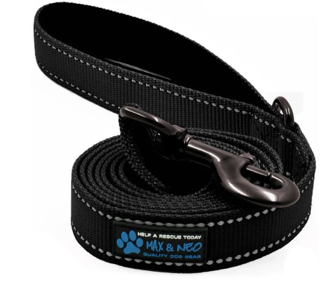 Max &amp; Neo 6 Foot Nylon Leash