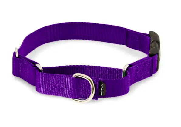 PetSafe Martingale Collar with Quick Snap Buckle PetSafe Martingale Collar with Quick Snap Buckle