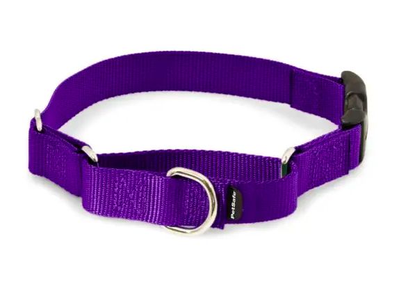 PetSafe Martingale Collar with Quick Snap Buckle PetSafe Martingale Collar with Quick Snap Buckle