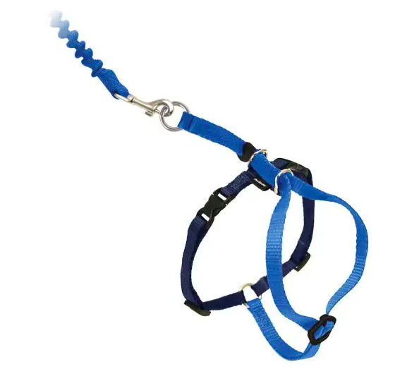 PetSafe Come With Me Kitty Harness & Bungee Leash PetSafe Come With Me Kitty Harness & Bungee Leash