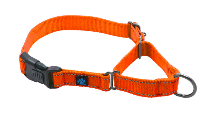 Max & Neo Nylon Martingale Collar Max & Neo Nylon Martingale Collar