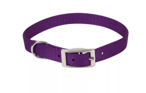 Coastal Nylon Dog Collars - 22"