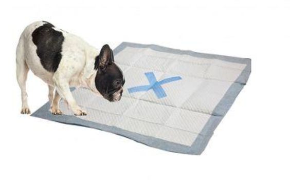 X MARKS The Spot Puppy Pads