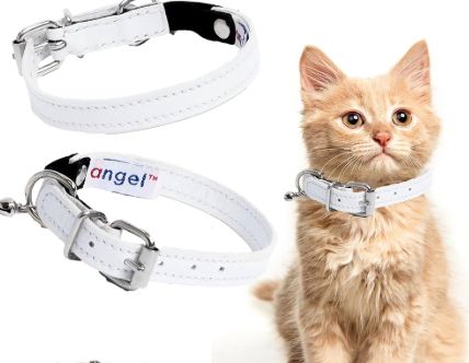 Angel Leather Cat Collar - White Angel Leather Cat Collar - White