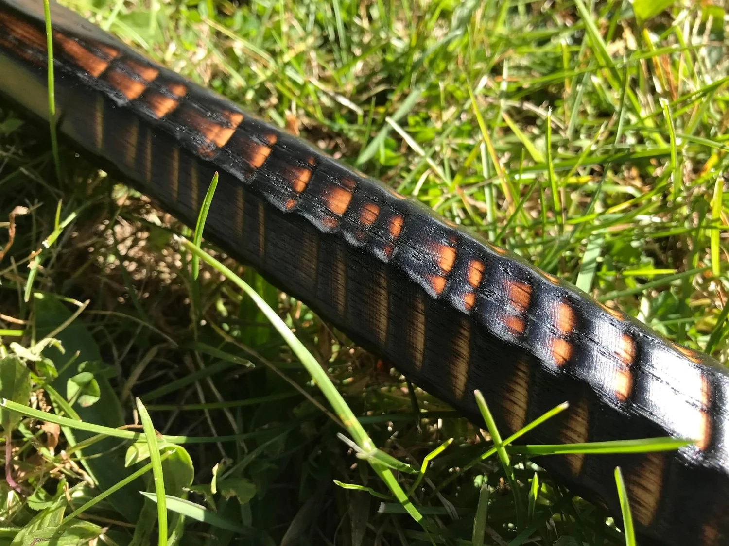 Wizard Staff of the Blood Dragon