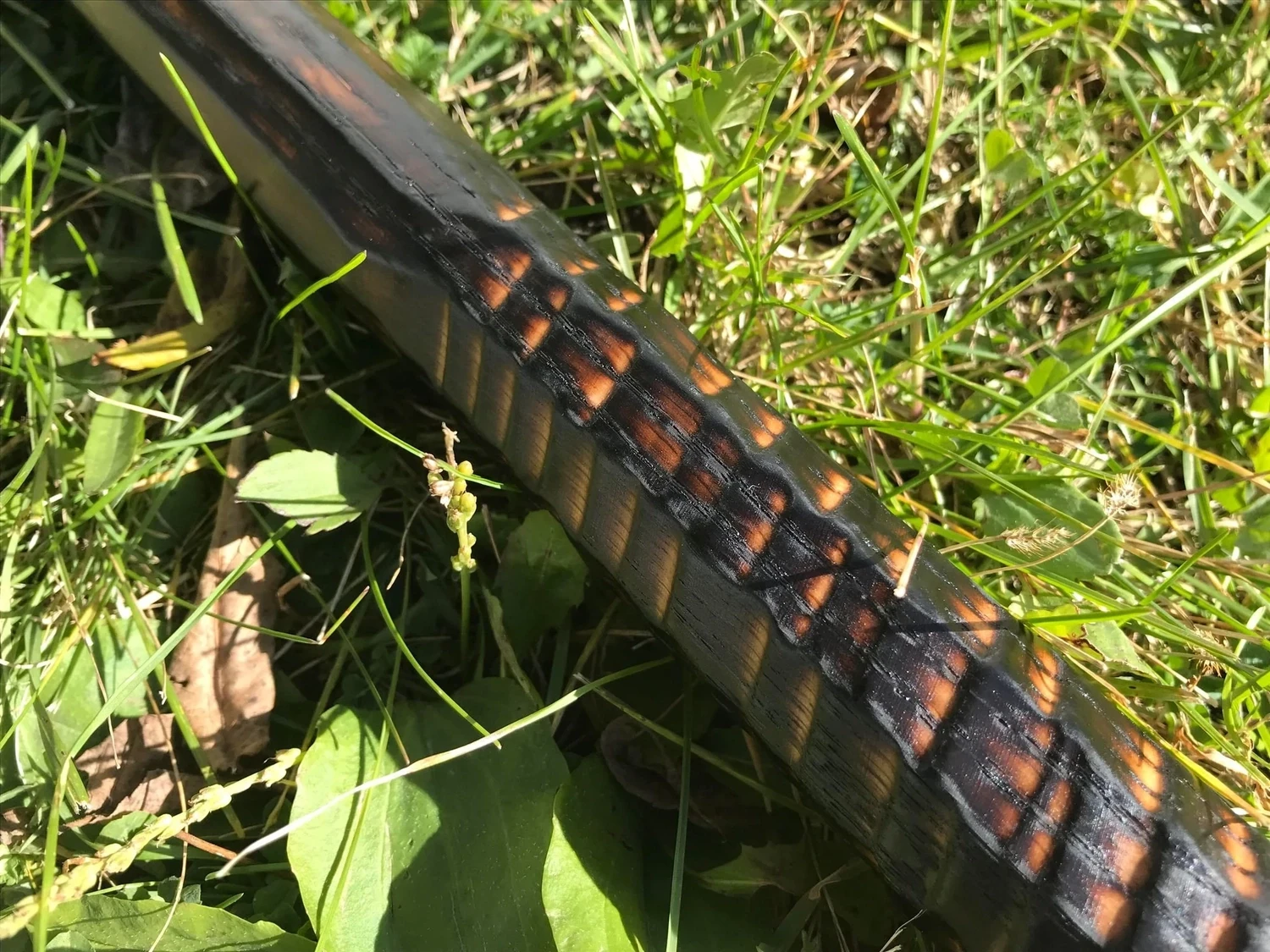 Dawn Dragon Wizard Staff