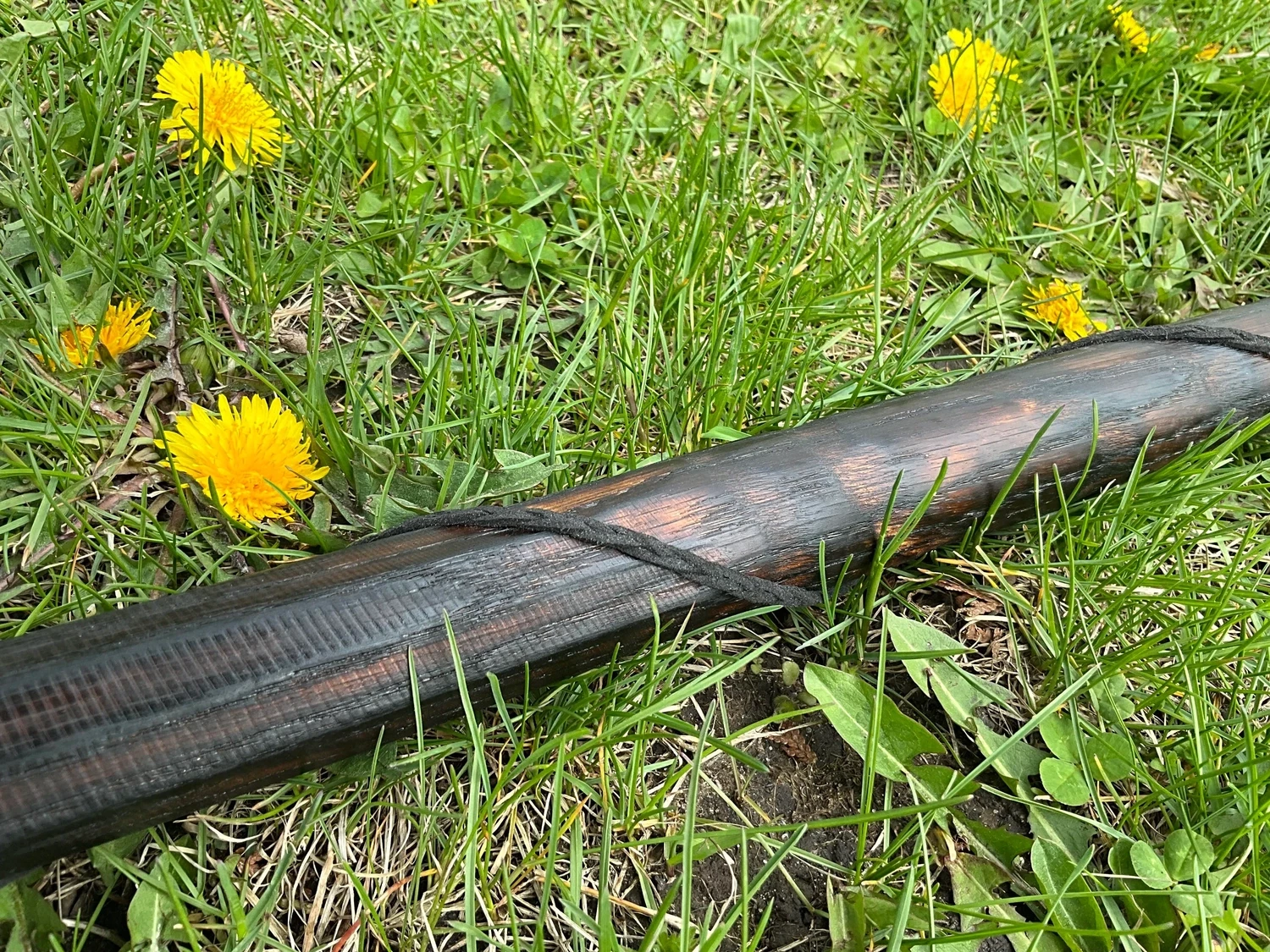 Onyx Wizard Staff of the Void Dragon