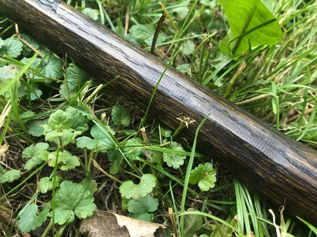 Ruby Wizard Staff of Fire