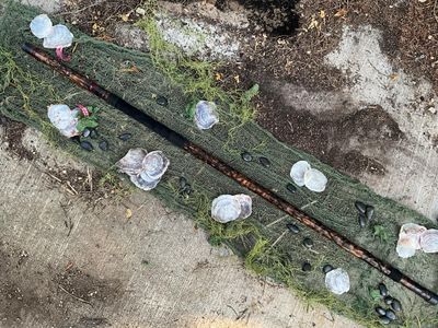 Cthulhu Quarter Staff