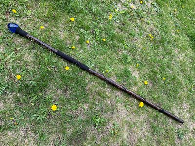 Sapphire Dragon Scale Staff