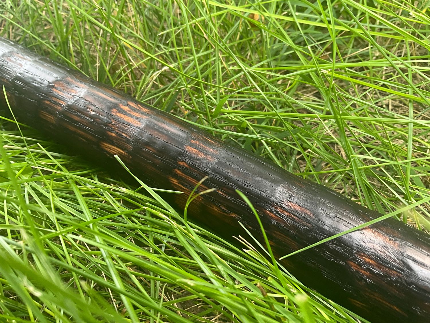 Hand Painted Walking Stick