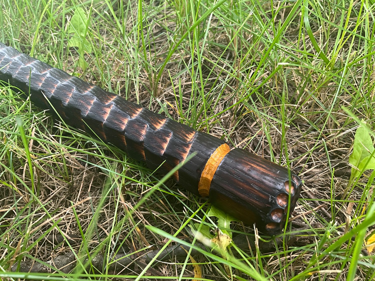 Hand Painted Walking Stick