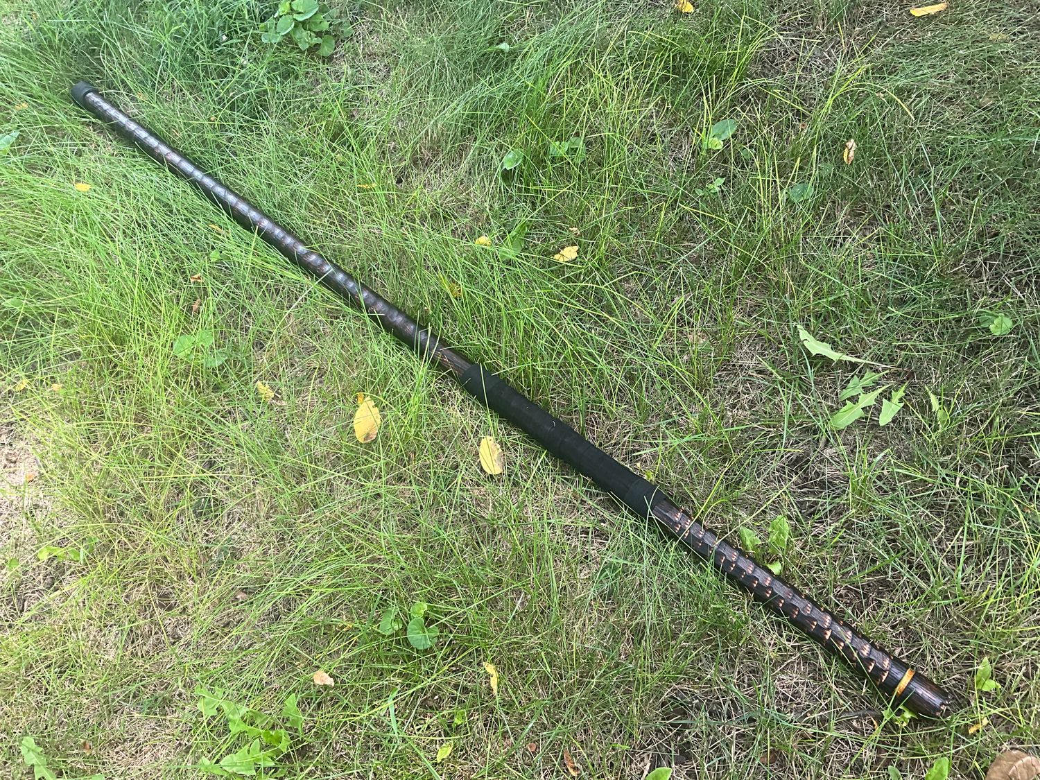 Hand Painted Walking Stick