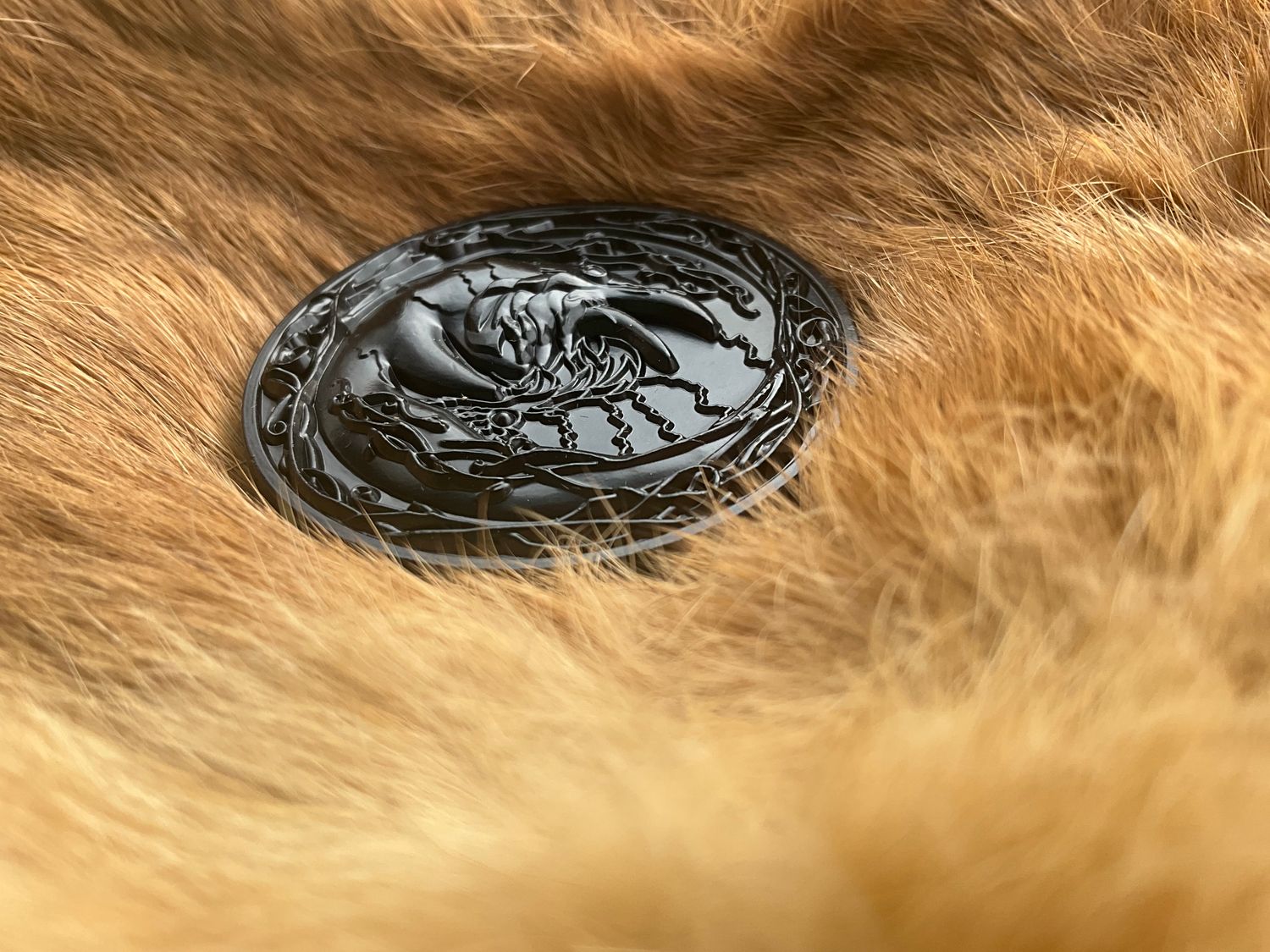 Odin Raven Coin