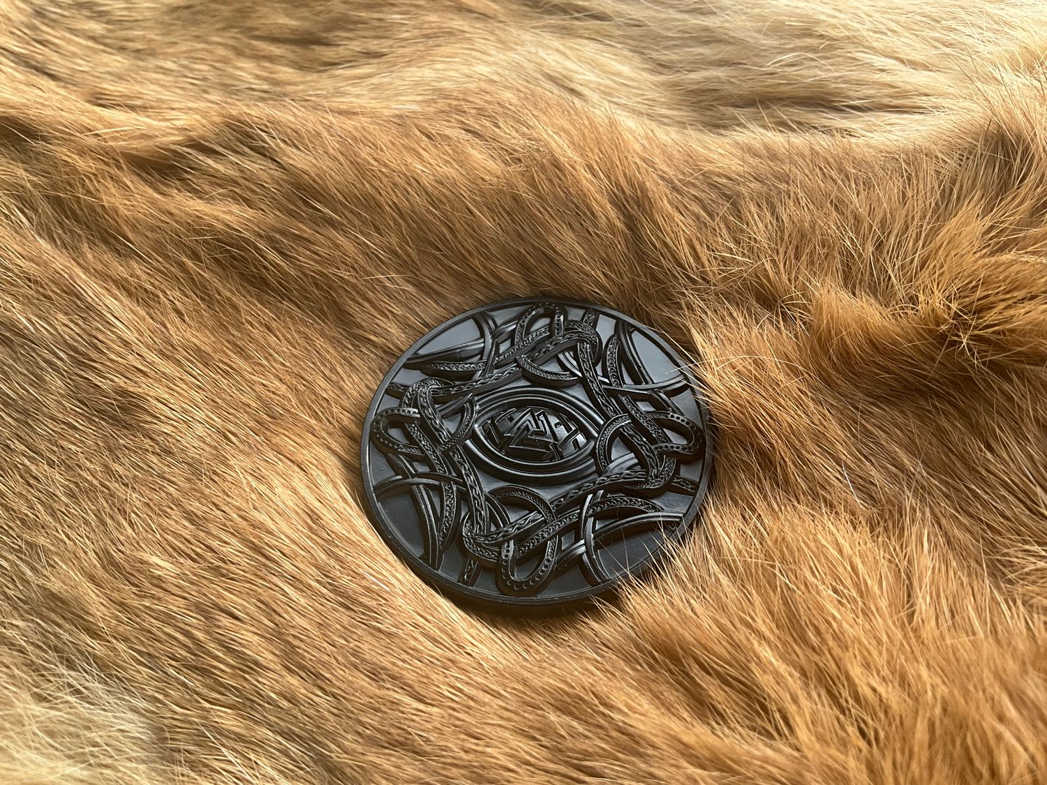 Odin Raven Coin