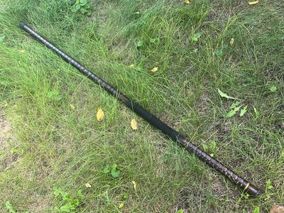 Hand Painted Walking Stick