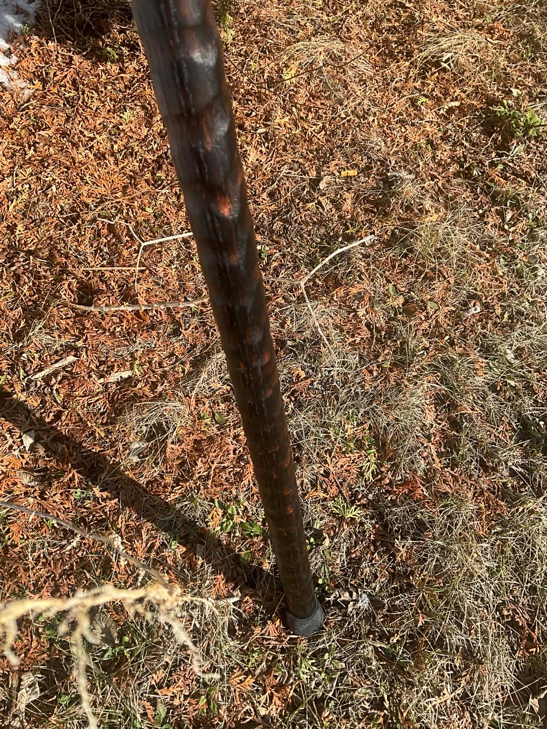 John 3:16 Shepherd Staff