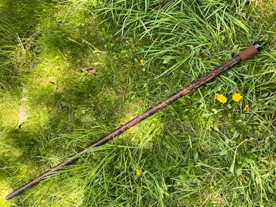 Green Vine Wizard Staff