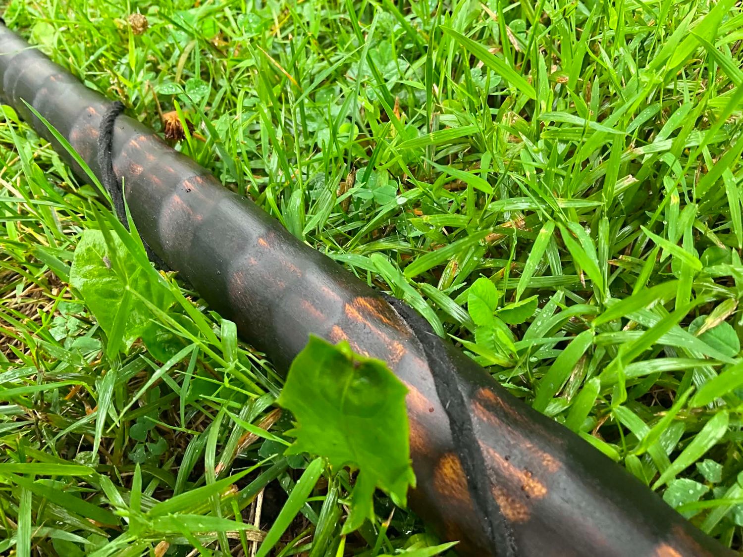 Teal Orb Dragon Scale Staff
