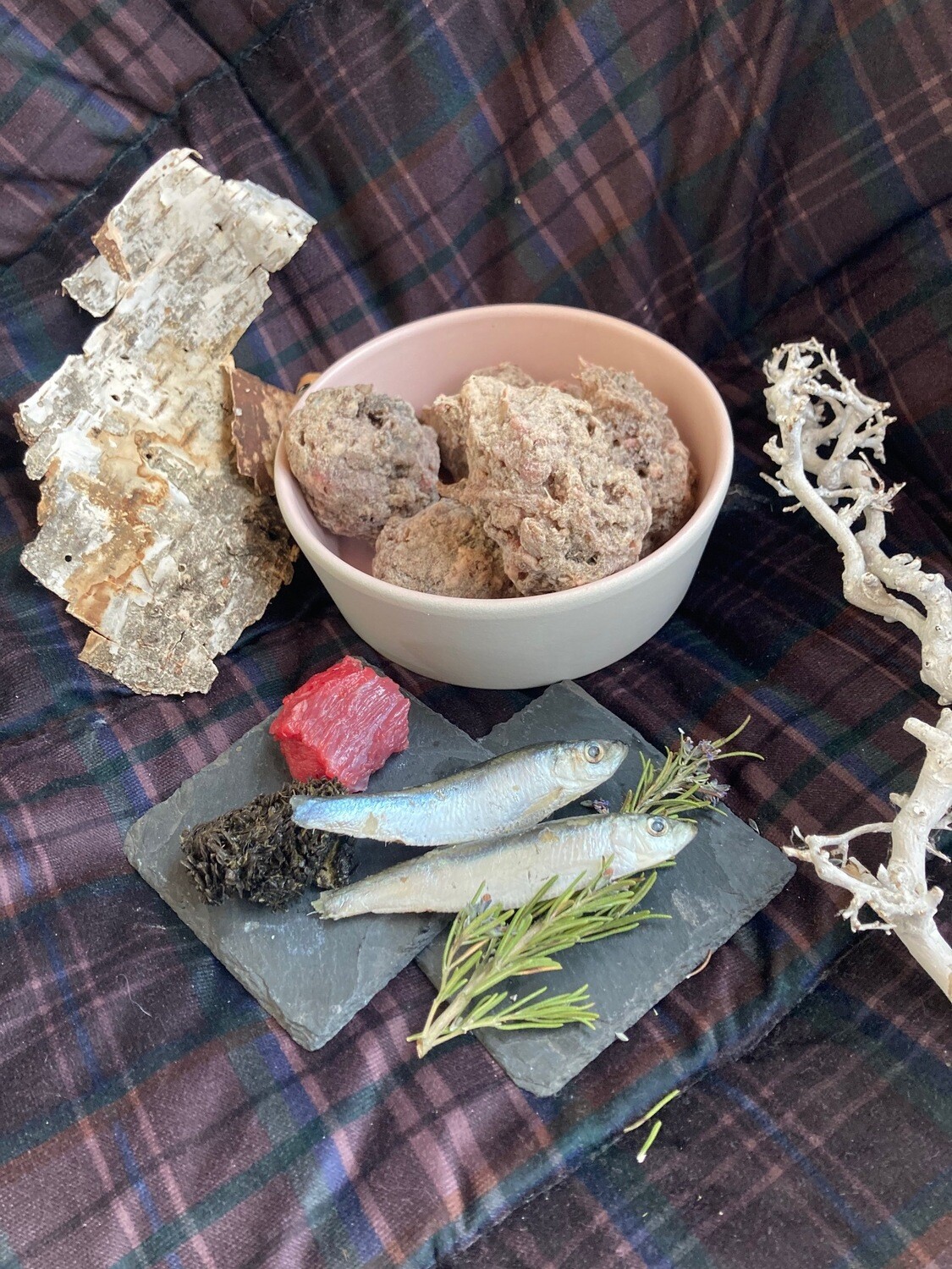 Küstenfrikas, einzeln entnehmbar, 1,5 kg