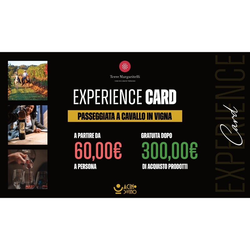 EXPERIENCE CARD PASSEGGIATA A CAVALLO IN VIGNA