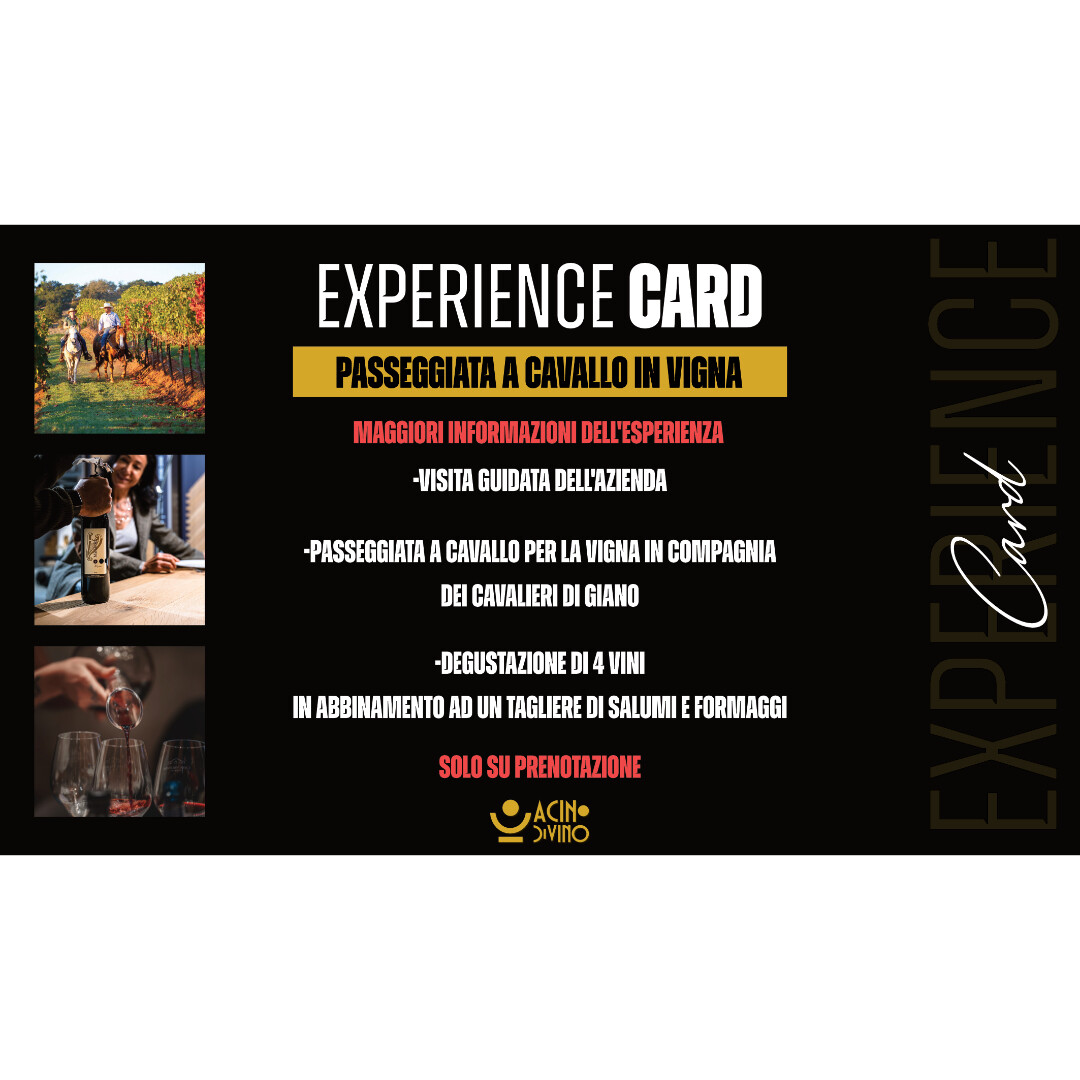 EXPERIENCE CARD PASSEGGIATA A CAVALLO IN VIGNA