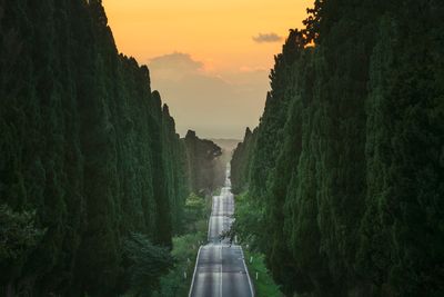 BOLGHERI