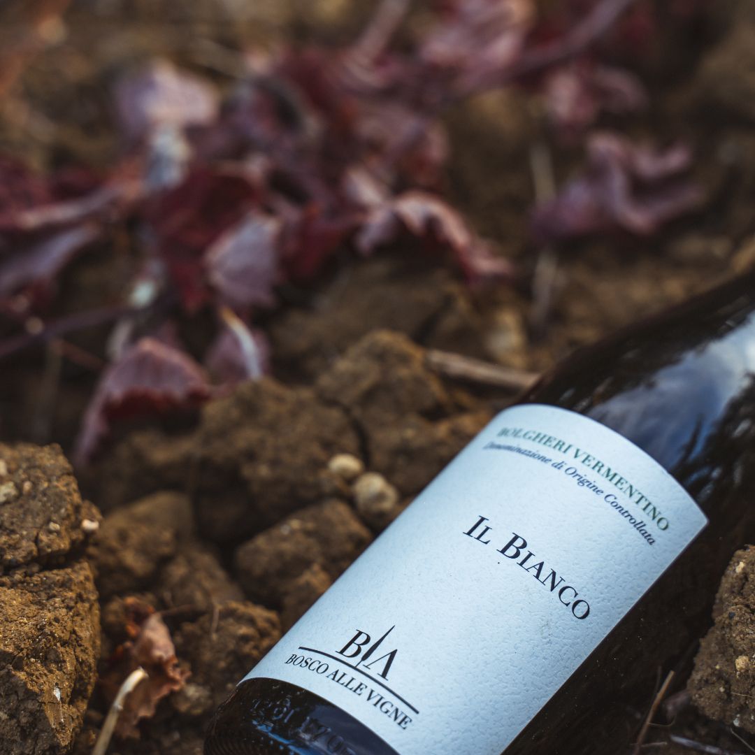Il Bianco Bosco alle Vigne