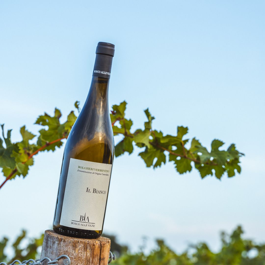 Il Bianco Bosco alle Vigne