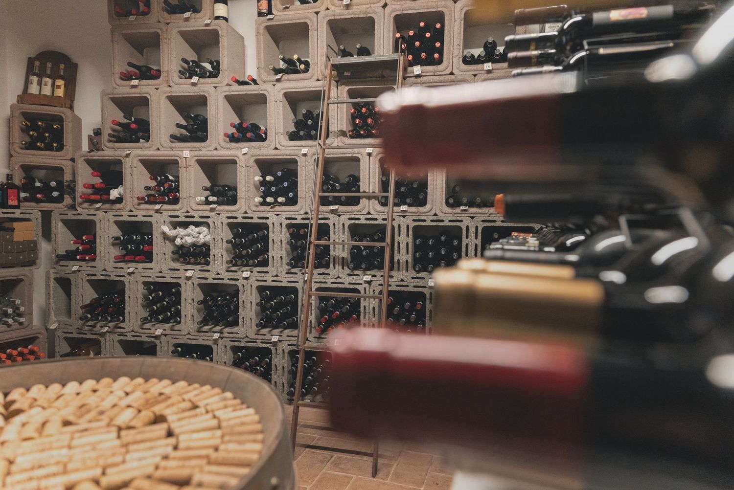 VISITA IN CANTINA E PRANZO A MONTEPULCIANO