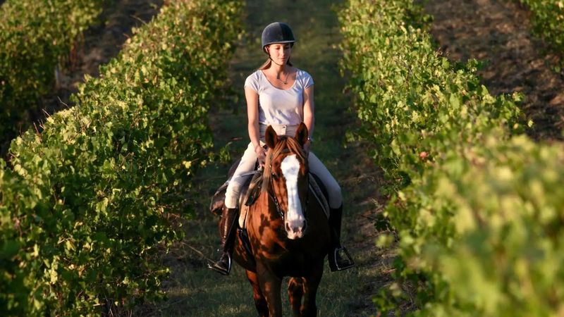 PASSEGGIATA A CAVALLO IN VIGNA