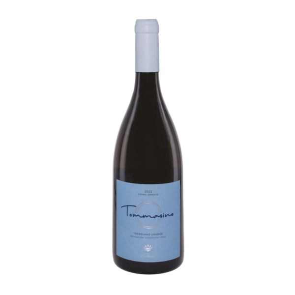 Tommasino – Casaioli