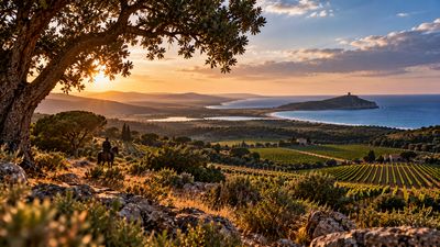 MAREMMA