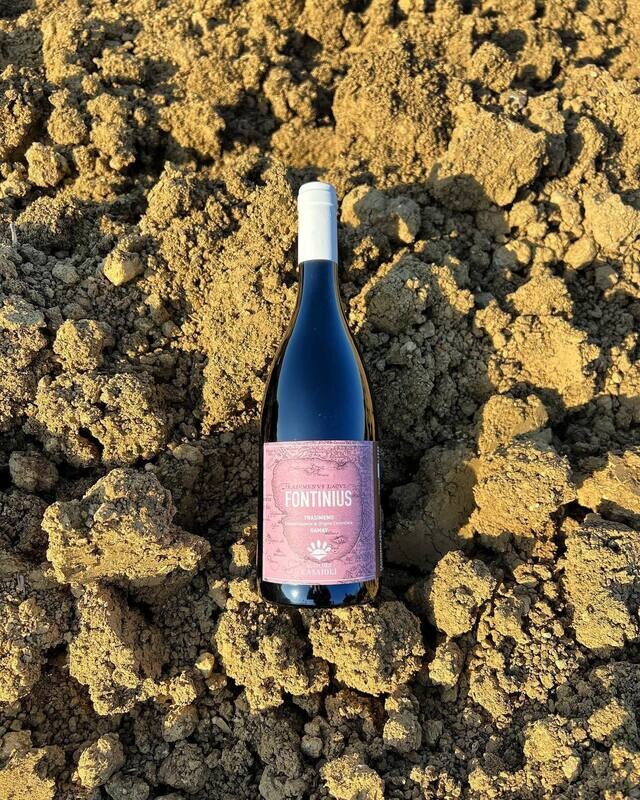 Fontinius Agricola Casaioli