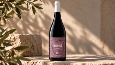 Fontinius – Trasimeno DOC Gamay | Azienda Casaioli
