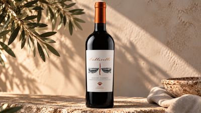 Collicelli – Colli del Trasimeno DOC | Azienda Casaioli