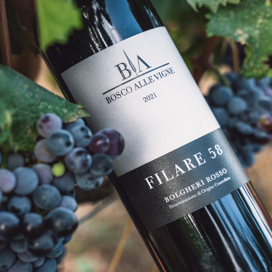 Filare 58 Bosco alle Vigne